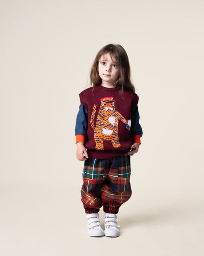 Jacquard Knit Vest | Tiger the Postie