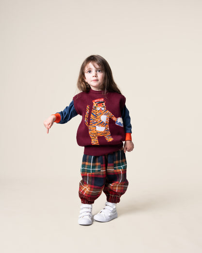Jacquard Knit Vest | Tiger the Postie