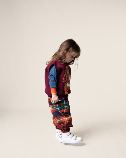 Jacquard Knit Vest | Tiger the Postie